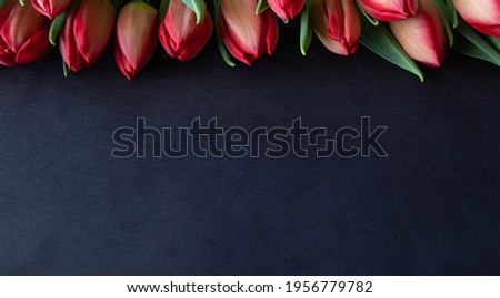 Red tulips on a dark background with space for your message. Mother's day, birthday, greetings from Holland, top view. 