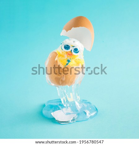 The Creative Easter composition with a party chicken with a hat and glasses in a cracked natural egg levitates above the blue background. Creative party or holiday concept.