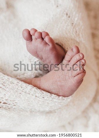 Newborn baby feet photo session in a photo studio 