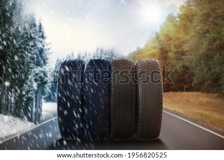 Set of new winter and summer tires on asphalt road, collage Royalty-Free Stock Photo #1956820525