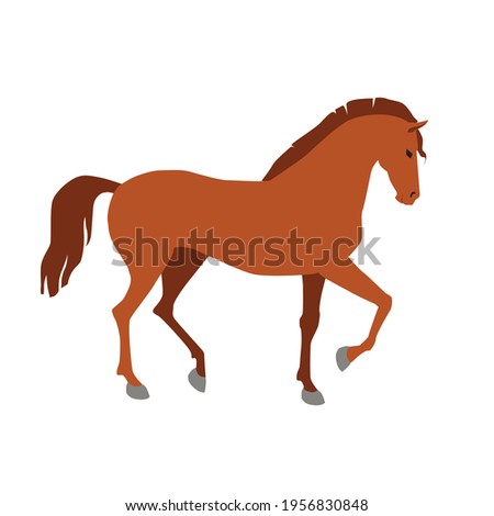 beautiful horse goes drawing vector