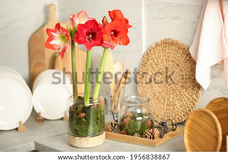 Beautiful red amaryllis flowers and tableware on counter indoors Royalty-Free Stock Photo #1956838867