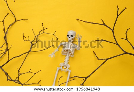 Creative Halloween layout. Tree branch, skeleton on yellow background. Flat lay