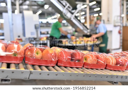 food factory: assembly line with apples and workers 