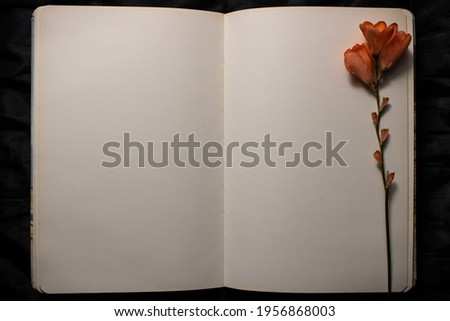 Open book with orange freesia flower resting on empty blank page against a black background. Empty space for text. Concept of nostalgia, sadness or remembrance
