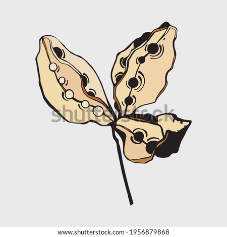 isolated element leaf branch with seeds ink black and white color vector