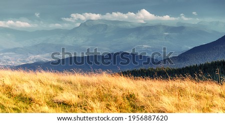 Vivid mountain landscape. Panorama of beautiful countryside of Carpathian mountains, Ukraine. Grassy field and Majestic mountains on background. Amazing nature scenery. Beautiful Summer wallpaper