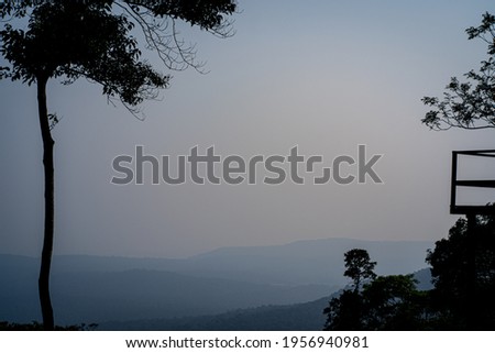 Picture of the morning sunshine with a thin mist At Khao Yai National Park, Thailand