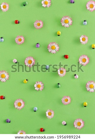 Creative spring layout made with Daisy flower and  colorful ladybug on green background. Minimal nature flat lay concept.