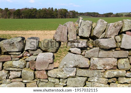Old Scottish Stone Hedge With Missing Stones and Agricultural Field in the Background