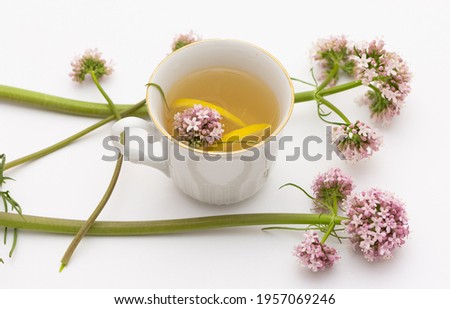wild plants and natural herbal teas.