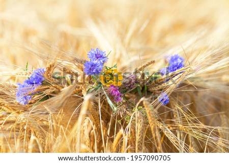 Wildflowers-blue cornflowers, yellow and purple are woven into a wreath of rye ears