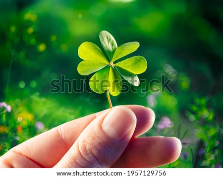Four Leaf Clover - Good Luck - Hands Hold Lucky Shamrock Royalty-Free Stock Photo #1957129756