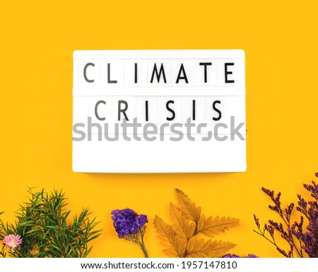 Climate crisis concept background with dried flowers, flat lay and top view photo