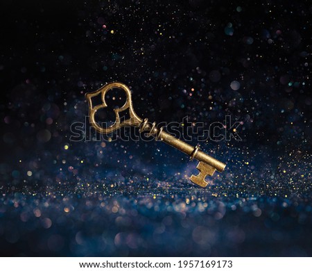 Single golden skeleton key surrounded by sparkling lights. Business concepts of unlocking potential, key to success, or financial opportunity. Royalty-Free Stock Photo #1957169173