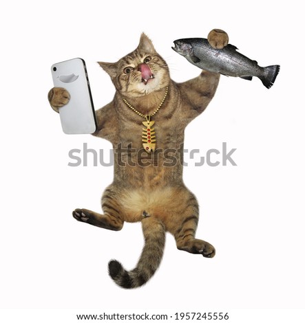 A beige cat takes a selfie with a fish. White background. Isolated.