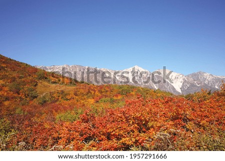 autumn mountains beautiful nature view