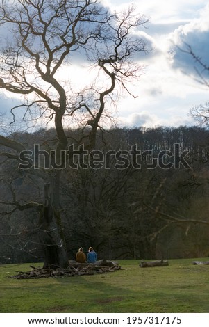 two friends sitting under a tree in the park.