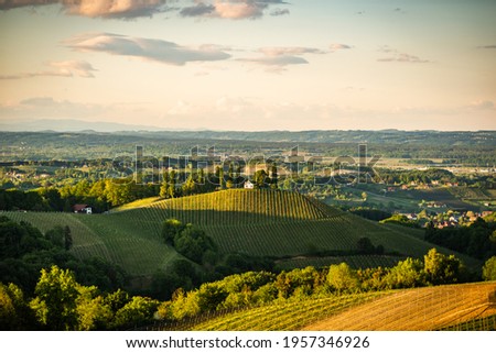 Austria Vineyards Sulztal Leibnitz area south Styria