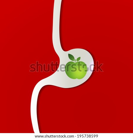 Fruit in the stomach. Simple medical illustration with little shadow, bright colors.