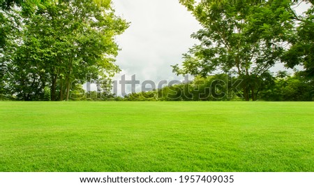 Lawns and gardens for bright backdrops. Royalty-Free Stock Photo #1957409035