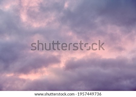 Fluffy cumulus clouds in beautiful purple and pink color, azure cloudy sky. Romantic cloudscape.