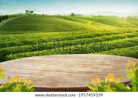 Wooden table top with blurry tea plantation landscape against blue sky and blurred green leave frame Product Display stand natural background concept Royalty-Free Stock Photo #1957459339