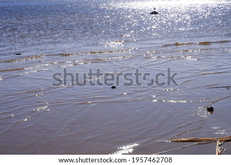 Waves on the seashore. Water. Nature. Beautiful view.