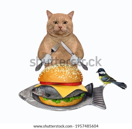 A reddish cat with a knife and a fork eats a big fresh fish burger from a fish shaped plate. White background. Isolated.