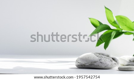Salt stones and green Leaves of riskus in the sun, with shadows, on a white gray concrete background with copy space. Advertising background concept for cosmetics, fashion, spa. Banner Royalty-Free Stock Photo #1957542754