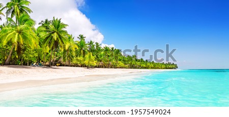 Panorama of coconut palm trees on white sandy beach in Saona island, Dominican Republic. Vacation holidays summer background. View of nice tropical beach.