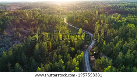 Aerial over a winding forest road in Finland, during sunset - , drone shot Royalty-Free Stock Photo #1957558381