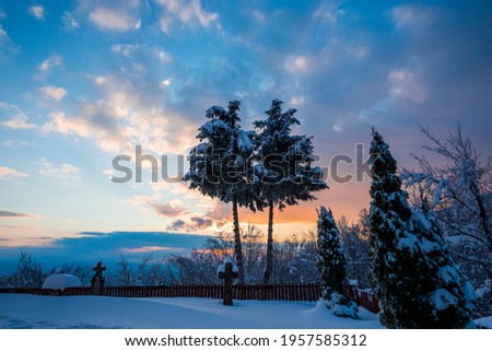 Winter landscape with the fresh snow
