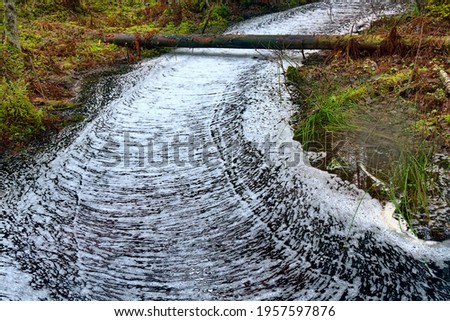 Forest miracle. Quiet forest stream is covered with ribbed cross pattern of foam, waterway like white road, surface appears to be concave due to uneven advance of foam combs - fallacia optica