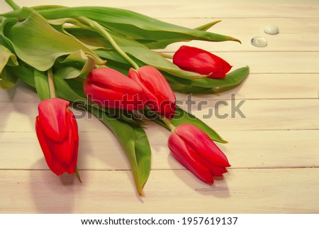 A bright bouquet of red tulips on a white wooden background. Gift for March 8, Mother's Day, Valentine's Day, wedding, date.