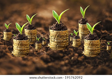 Golden coins in soil with young plant. Money growth concept. 