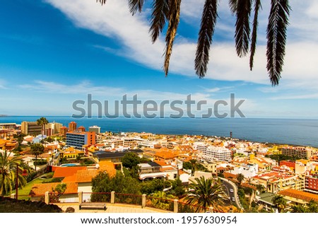 Landscape of the coast with palm leaves from the Taoro park, in the municipality of Puerto de la Cruz
