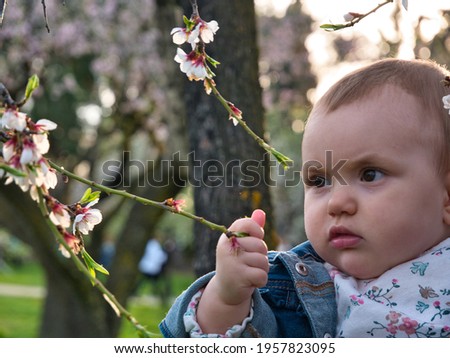 A baby girl is happy touching the flowers of an almond tree