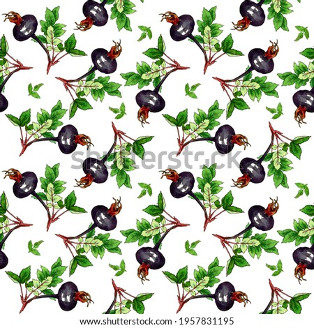 seamless watercolor pattern with black rose hips on a branch with green leaves. Background for wrapping paper, fabric.