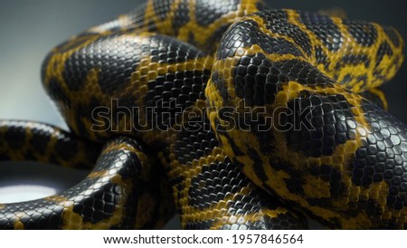 Close up photo of yellow boa anaconda