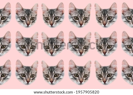 Pattern of cat faces on pastel pink background. Contemporary artwork collage concept.