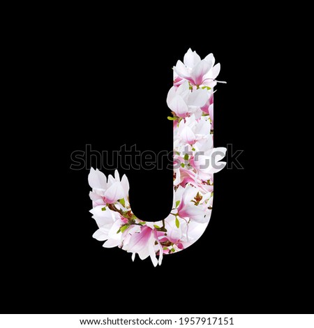Magnolia floral element isolated. Letter j