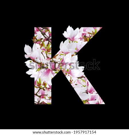 Magnolia floral element isolated. Letter k