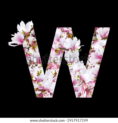 Magnolia floral element isolated. Letter w