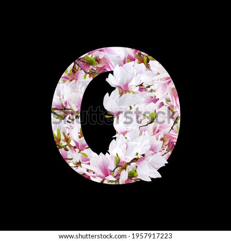 Magnolia floral element isolated. Letter o