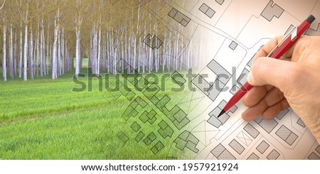 Imaginary topographic cadastral map and land parcels of territory with trees on background and buildable vacant land for sale - concept image.