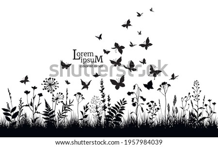 Floral background with black silhouettes of herbs, flowers and butterflies. Spring or summer background. Vector illustration.