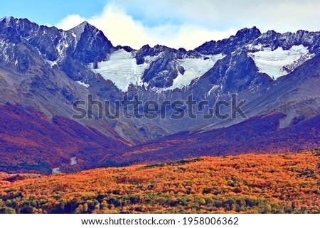 the glaciers that surround the city of ushuaia, and the trees with their autumnal colors
