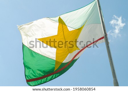 Roraima flag brazilian state symbol