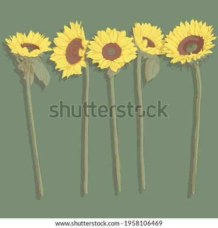 vector sunflowers clip art set, for cards, invitations, wall art, POD, graphic design, and more.  